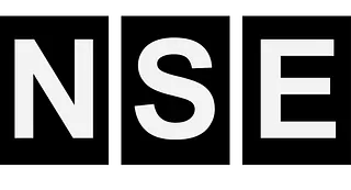 Logo - Nordic Safety Engineering