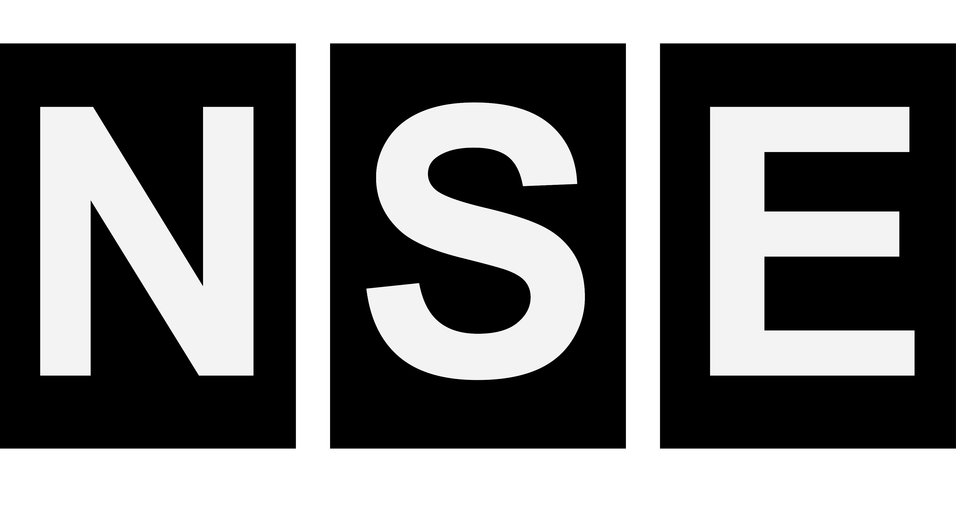 Logo - Nordic Safety Engineering